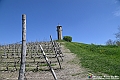 VBS_1013 - Torre dei Contini - Canelli (AT)
